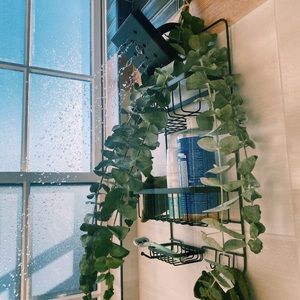 Meet your Posher, Zee